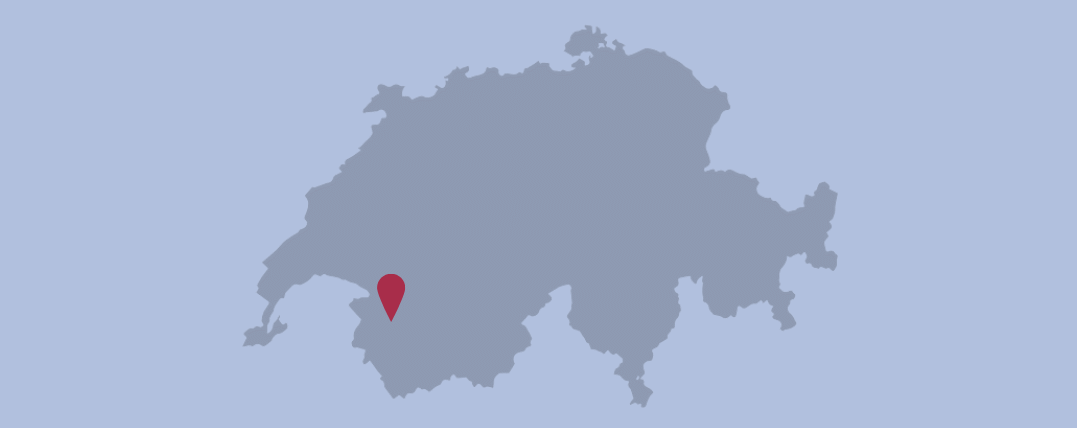 Site web (1)